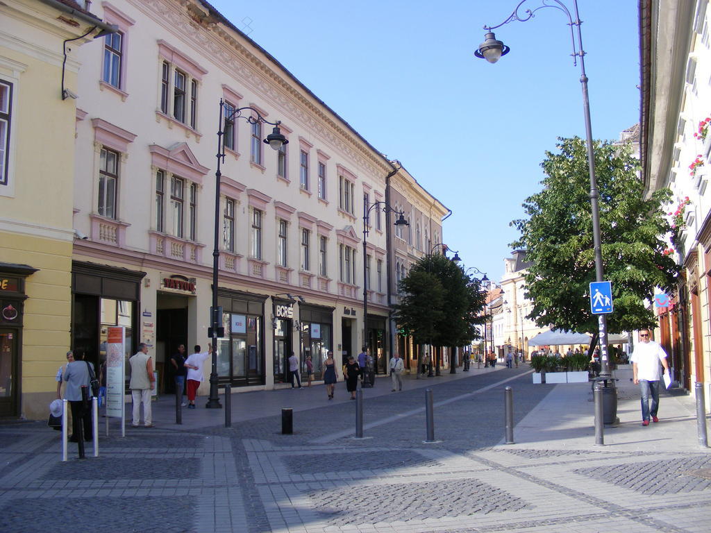 Garsoniera Central Sibiu Room photo